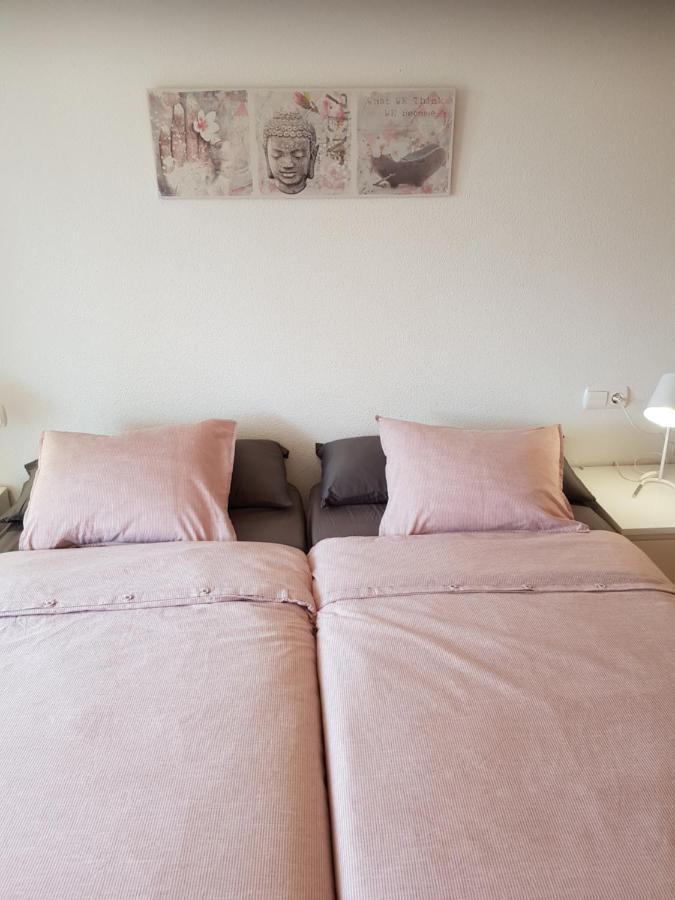 Appartement Torre La Mata トレビエハ エクステリア 写真